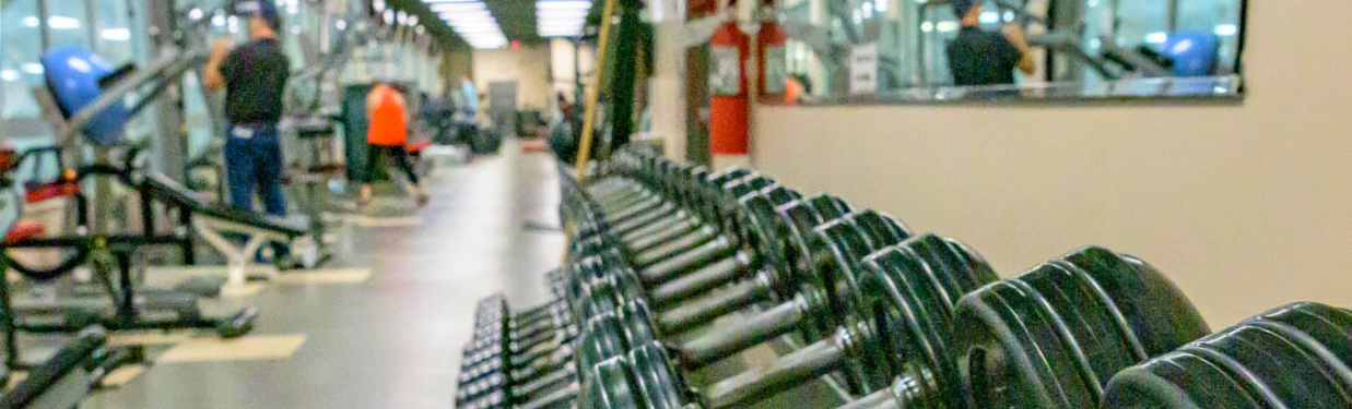 Program Banner (4)
