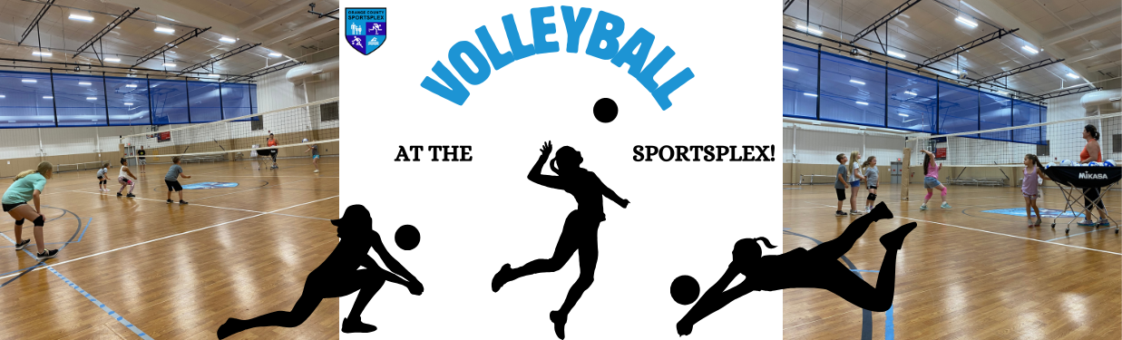 Tots Programs Banner (5)